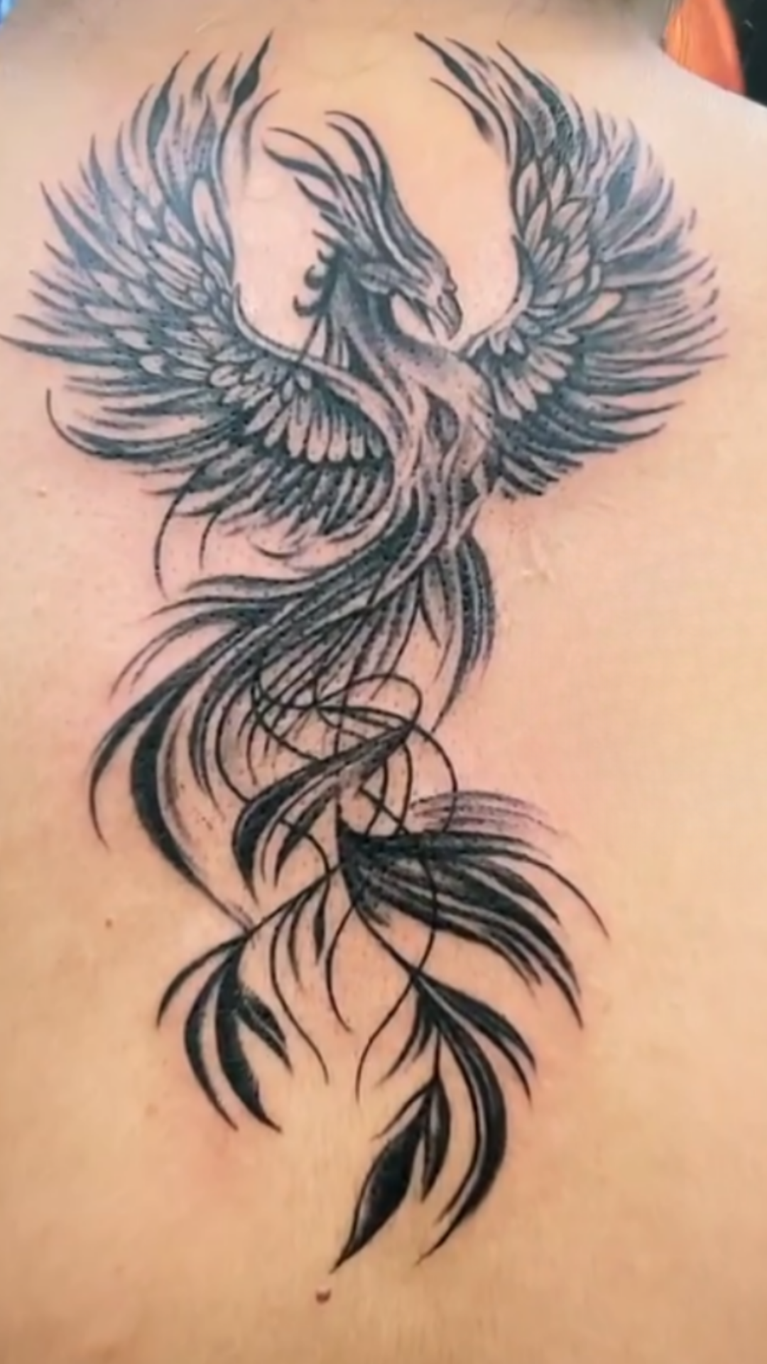 Fine-line blackwork phoenix tattoo on upper back